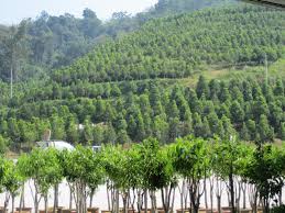 For harta maintenance sdn bhd, technology advancement and globalisation have pushed the company to diversify its services to include energy as well as asset management in order to keep itself ahead of the competition. Plantation Visit With Perak Branch Committee To Gaharu Technologies Sdn Bhd