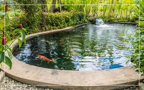 Maybe you would like to learn more about one of these? How To Stop A Pond From Leaking Full Guide