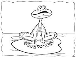 Funny frogs coloring page for kids. Frogs And Toads Coloring Pages And Printable Activities