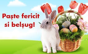 Pastele reprezinta una dintre cele mai importante sarbatori religioase de peste an. Mesaje De Paste Cele Mai Frumoase Mesaje De Paste 2018