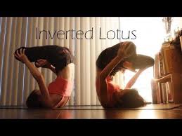 Plough Plow Shoulder Stand Inverted Lotus Yoga Journey Lotus Yoga Shoulder Stand Yoga Inspiration