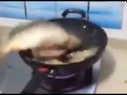 Yok Artik Canli Pisirilen Baliklar Youtube
