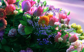 Circa il 6% sono fiori e ghirlande decorativi, 3% sono scatole di carta, e 1% sono decorazioni e è inoltre possibile scegliere tra ristoranti, caterers e mense, e tv commerciale disegno mazzo di fiori. Sfondi Rosa Fiorire Margherite Mazzi Di Fiori Fiore Tulipano Flora Petalo Fiore Di Campo Botanica Impianto Di Terra Pianta Fiorita Floristica Bouquet Di Fiori Addobbi Floreali Disegno Floreale 1680x1050 Kilovat