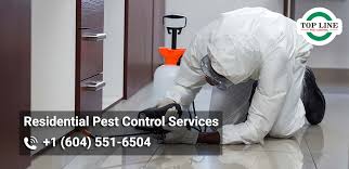 Intime pest control services in bangalore ensure to take all kind of pest control right from the house pest control, residential pest control to commercial pest control and corporate pest control. The Importance Of Commercial Pest Control During Covid 19