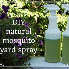 Ticks enter yards from other wild animals, especially deer. How To Make Homemade Organic Mosquito Yard Spray Dengarden