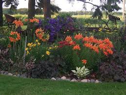 100 1673perennial Garden Wisconsin Gardens Landscaping Clematis Heuchera Lilly Garden Art Flickr Wisconsin Landscaping Ideas Lilly Garden Shade Garden
