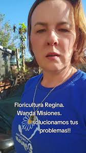 Decoramos tus espacios!! Floricultura Regina. Wanda . Misiones. tel. 3757  51-1493