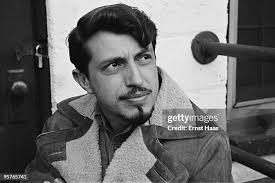 625 Dennis Beard Stock Photos, High-Res Pictures, and Images