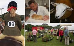 Rosedale Show