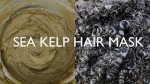 The iodine in sea kelp is great for regulating the thyroid, it's also great for dandruff and. Sea Kelp For Extreme Hair Growth Youtube