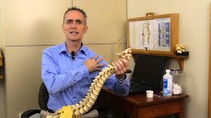 We did not find results for: Network Chiropractor Asheville Nc Whittington Chiropractic