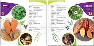 This is the gallery for all of sweet potato 's appearances throughout the plants vs. Orange Fleshed Sweetpotato For Africa Catalogue For 2014