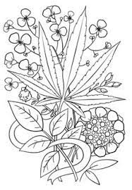 Download Coloring