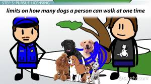 If you witness bird smuggling at a canadian border crossing or airport, report it immediately to a canada border services agency officer. How To Become A Dog Walker Certification License