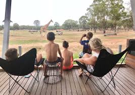 Finder's dubbo zoo review was conducted by a family of five, including three kids under ten. Zoofari Lodge At Taronga Western Plains Zoo Dubbo Nsw