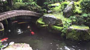 Each koi is genuinely from japan and raised with an exceptional amount of care on our koi farm. Japanese Koi Pond Genkijapan Net Youtube