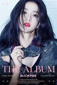 Jisoo is a singer, actress, and model. Jisoo Kim Wiki Age Boyfriend Husband Family Net Worth Biography More Thewikifeed