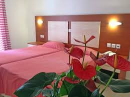 ما الزهور يجب أن يكون في المنزل