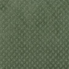 Trugrass emerald gold artificial grass synthetic lawn turf roll 12 ft. Carpet Sample Trugrass Color Emerald Gold Artificial Grass 8 In X 8 In Te 853673 301970090