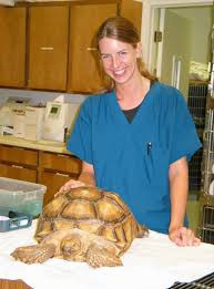 Intensive care facilities for critical patients. Exotic Pet Care Services Griffin Exotics