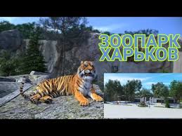 Такую рекомендацию дали в украинской ассоциации. Novoe Kak Budet Vyglyadet Harkovskij Zoopark Animaciya Zooparka Harkov Youtube