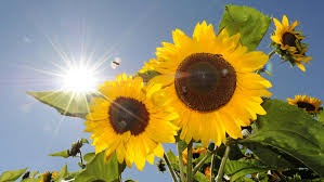 Welcome to the official facebook page instagram: Mega Wochenende Der Sommer Kommt Bald Zuruck Wetter De