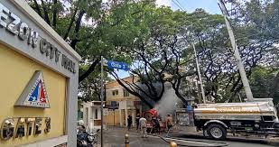 Amado araneta bought the the first city hall stood on aurora boulevard, corner edsa. To Ensure The Safety Of Quezon City Hall Employees From The Threat Of Covid 19 Mayor Joy Belmonte Ordered The Massive Disinfection Of Qc Hall Offices And Departments As Well As National Government