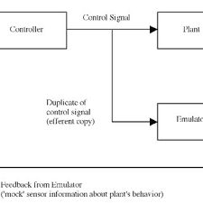 Pdf Does The Brain Implement The Kalman Filter