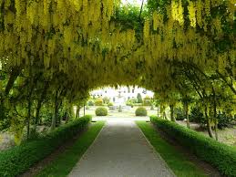Brodsworth Hall And Gardens Doncaster Trip Advisor Yorkshire England