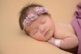 Zillertaler Nachwuchs