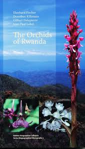 Image result for Diaphananthe lebelii