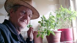 Tom Loewy: A chance to grow more than plants