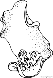 This coloring page belongs to these categories: Simple Sea Slug Coloring Page Coloringall
