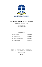 Peta konsep juga seringkali disebut dengan diagram konseptual yaitu suatu diagram yang mengilustrasikan hubungan yang. Pdf Tugas Kelompok Modul 1 Dan 2 Pembelajaran Pkn Di Sd Pdgk 4201 Anisa V R I S T I Rahayu Academia Edu