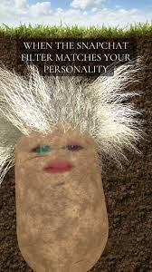 Snapchat filters and a good baked potato is all you need 🥔#trending #viral  #indiana #fyp #microinfluencer #snapchat #funnyvideo