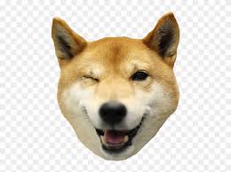 It is based on the doge meme and it can be purchased for 250 robux. Doge Head Png Clipart 193843 Pikpng