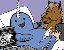 How Unicorns Are Born Baby Unicorn Unicorn Funny Cute Unicorn