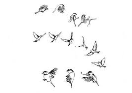Bird In Motion Google Search Animation Bird Illustration Bird