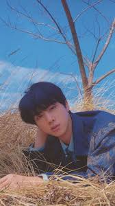 خلفيات بانقتان Kim Soek Jin كيم سوك جين Seokjin Bts Bts Jin Jin