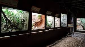 Terrarium Praha Zoo Santuarios