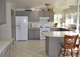 Protected Blog Log In Repainting Kitchen Cabinets Painting Laminate Kitchen Cabinets Kitchen Cabinets Painted Grey