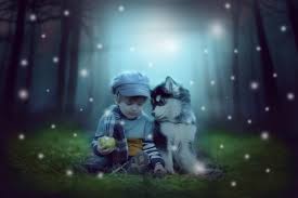 What Dreams About Dogs Mean And How To Interpret Them Exemplore