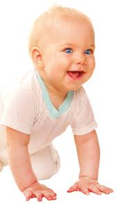 Guide to the Human Body