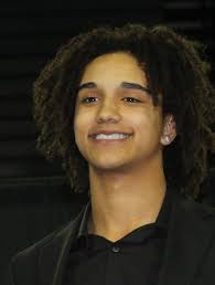 Tennessean large and small class boys basketball First Team in photos