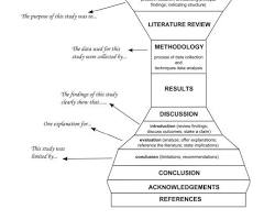 Зображення: typical structure of a research paper