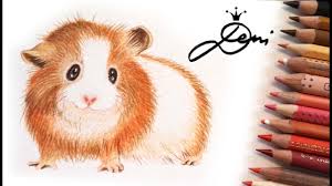 Lass deiner vorstellungskraft freien lauf und mal dieses tolle bild mit deinen lieblingsfarben aus! Meerschweinchen Zeichnen How To Draw A Domestic Guinea Pig Cavy Kak Se Risuva Morsko Svinche Youtube