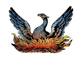 Phoenix out of the ashes the pheonix phoenix rebirth phoenix from ashes rise from the ashes the firebird rising from ashes fire phoenix rising phoenix phoenix rising. Phoenix Rising From Ashes Photograph By Granger