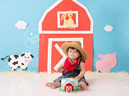 Barnyard Cake Smash Farm Cake Smash Boy Cake Smash Themed Baby Cake Smash Photos By Brandie Narola Tarta Smash Sesion De Fotos De Bebe Cumpleanos De Animales