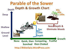 parable of the sower sunday school diagram quizlet