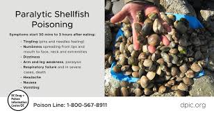 Image result for Paralytic Shellfish Poisoning